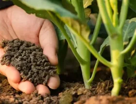 Bisnis Agritech