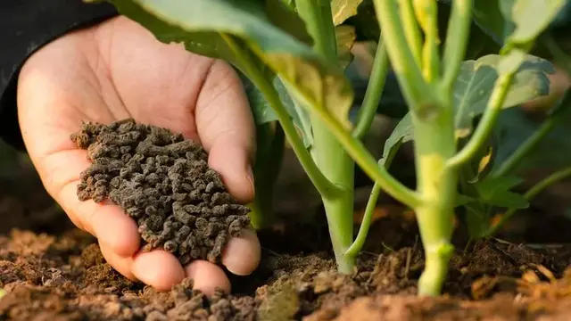 Bisnis Agritech